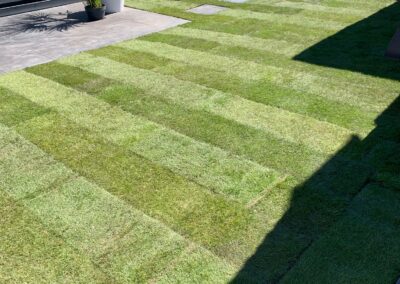 Hoveniersbedrijf van Schaik Tuinonderhoud