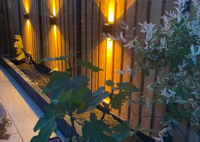 Hoveniersbedrijf van Schaik Tuinontwerp